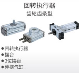 回轉執(zhí)行器 齒輪齒條型